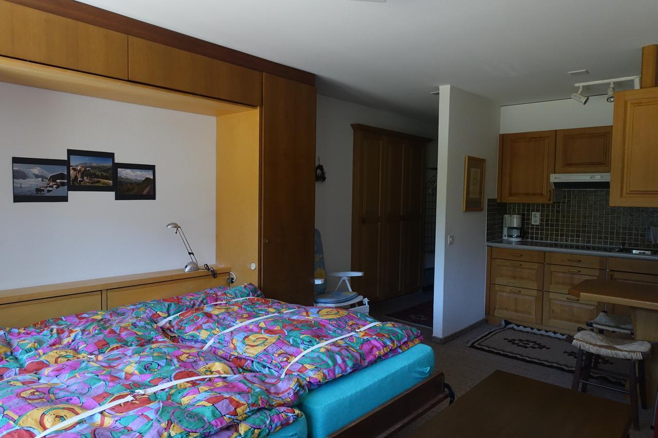Casa La Foppa 28 Διαμέρισμα Sedrun Εξωτερικό φωτογραφία